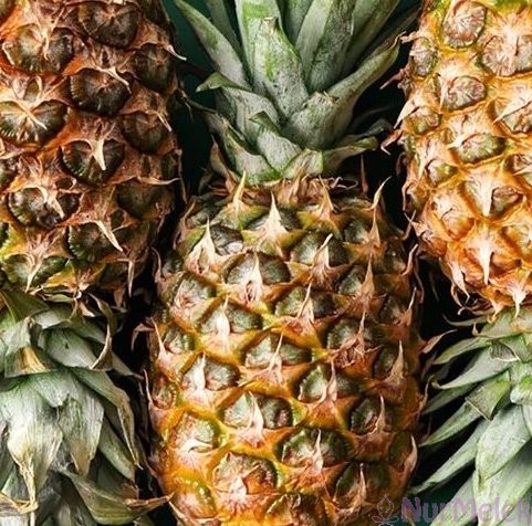 Ananas