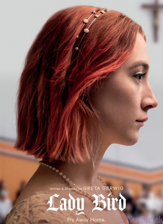 Lady Bird-Annelik filmler