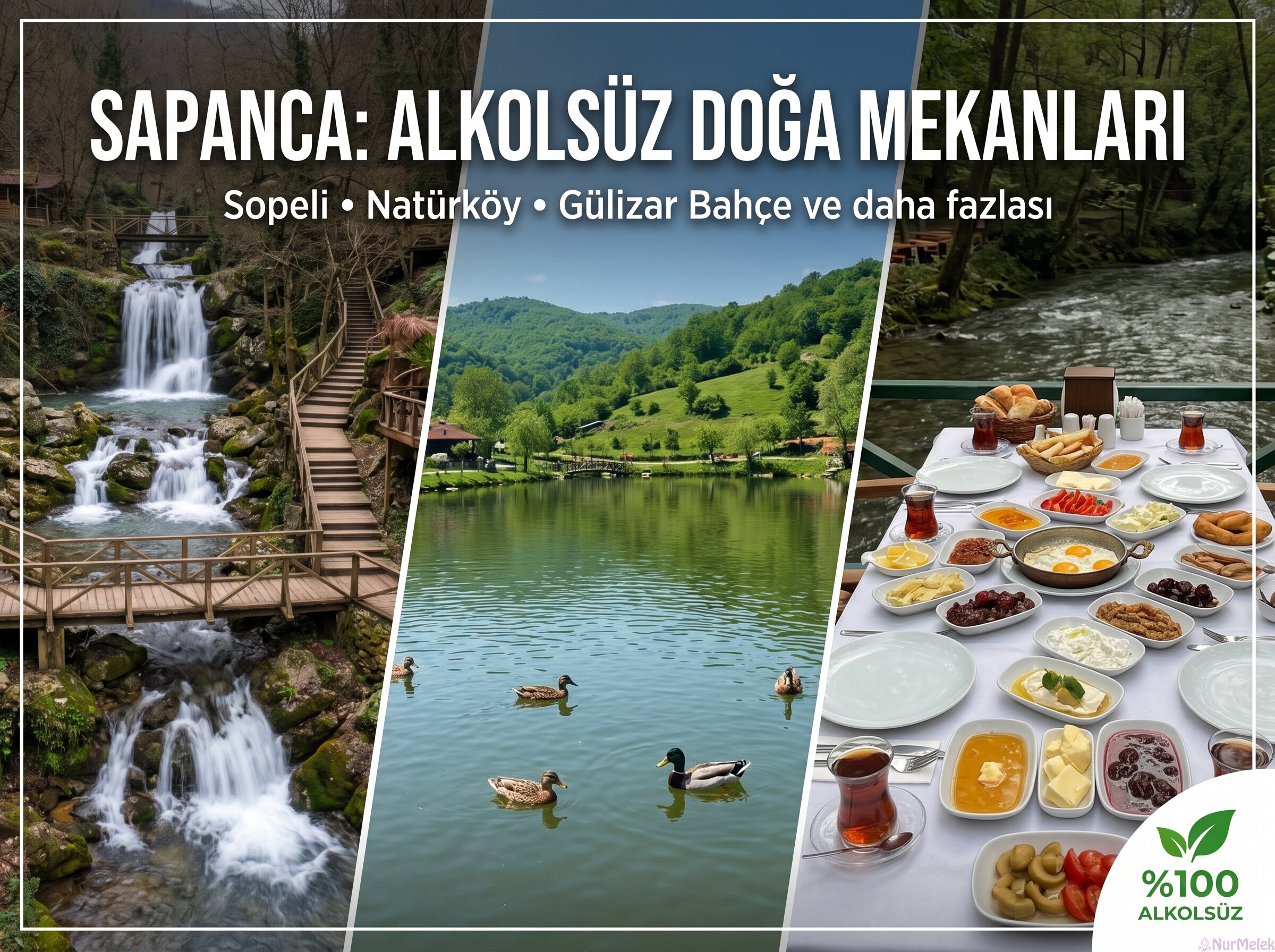 Sapanca’da Ailenizle Gidebileceğiniz Alkolsüz En Nezih 5 Doğa Mekanı